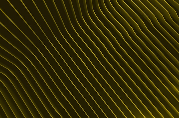 사진 추상적인 배경 디자인 hd 빛 밝은 매트 노란색