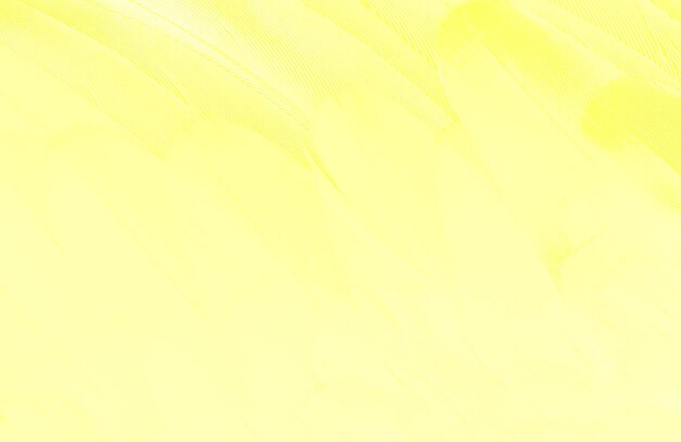 Abstract Background Design HD Light Lemon Yellow Color