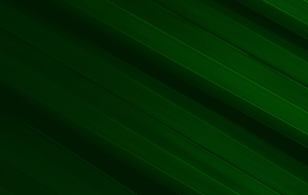 Photo abstract background design hd maximum green color