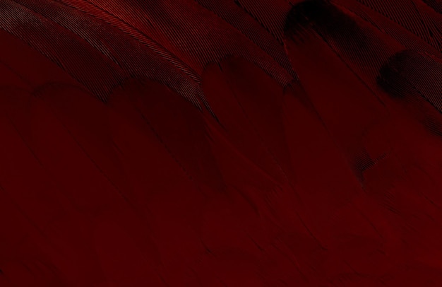 Abstract Background Design HD Warm Venetian Red Color