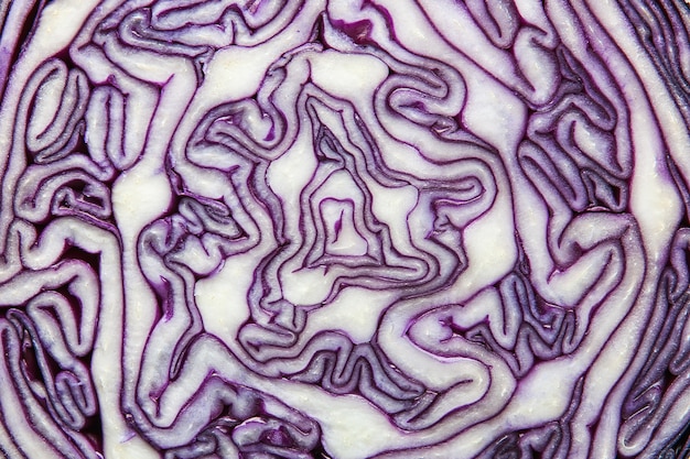 Abstract background from a cut of cauliflower, in white and purple tones