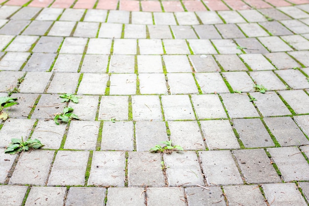 Abstract background from paving slabs stone pavement Gray paving slabs selective focus