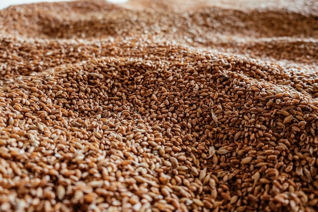 Abstract background grain harvested harvest