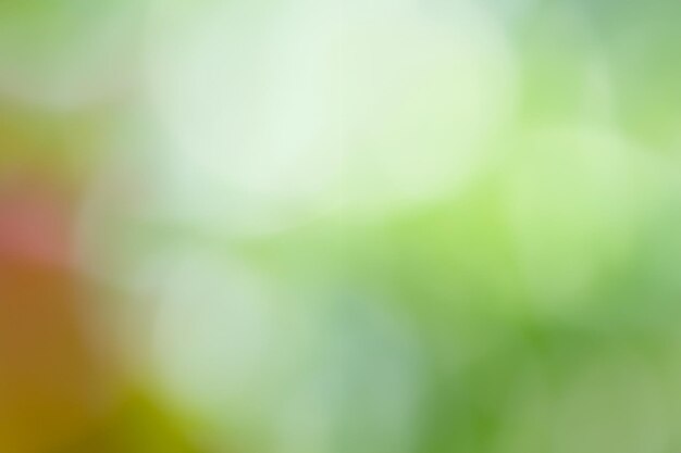 Abstract background green bokeh Beautiful colors Suitable for making a background image Graphic design