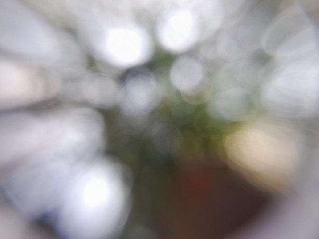 Photo abstract background light bokeh defocused background