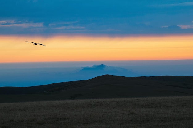 抽象的な背景 霧の雲と夜明けに孤独な鳥が飛ぶ山の風景 オレンジ色の空と霧により、夜明けの山々が印象的な風景になっています