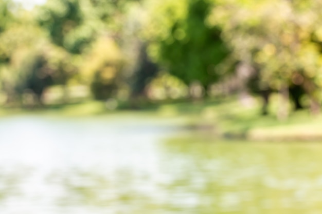 Photo abstract background of natural scenery.