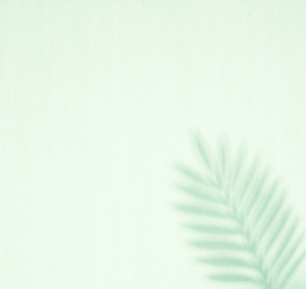 Abstract background of shadow palm leaves.