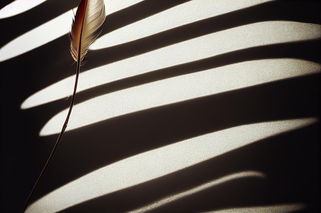 Abstract background Silhouettes of flying feathers of different birds on the background colorful