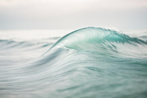 Abstract background of a smooth transparent wave on a white background ar c