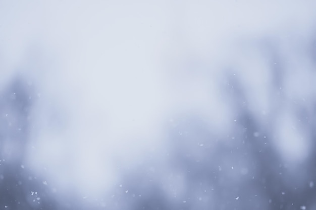 Photo abstract background snowfall overlay winter christmas seasonal snow