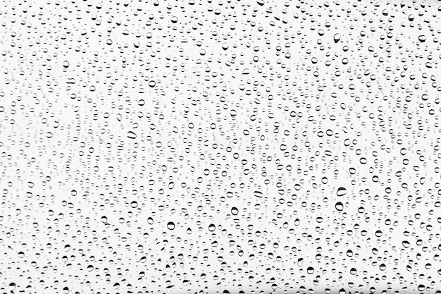 Abstract background of water drops 