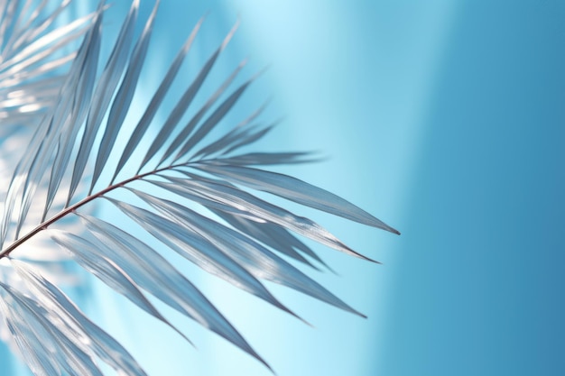 Абстрактный фон с размытой тенью пальмовых листьев для презентации продукта