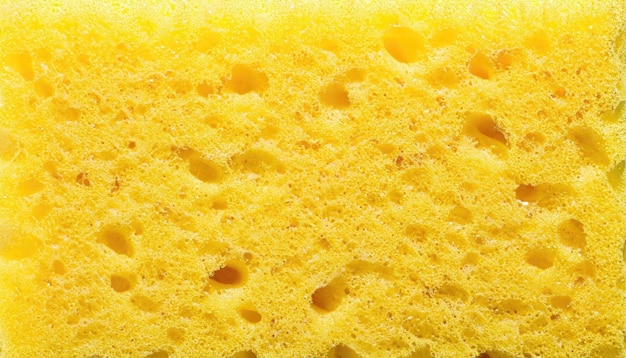 Abstract background with the detailed texture of wash sponge