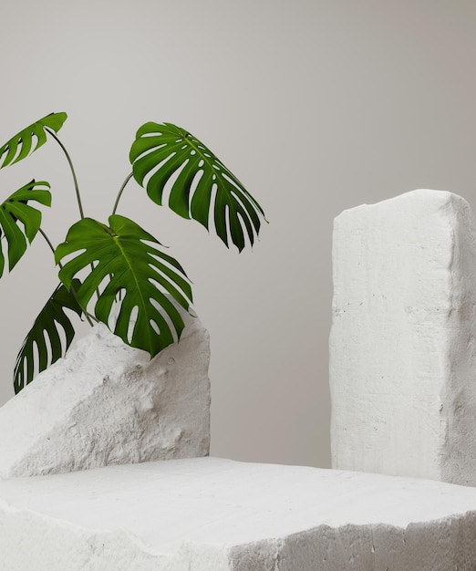 Photo abstract background with a green monstera plant and white clean podium modern rock