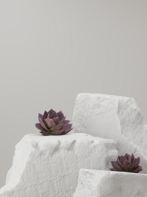 Photo abstract background with a purple violet succulent plant and clean podium modern rock