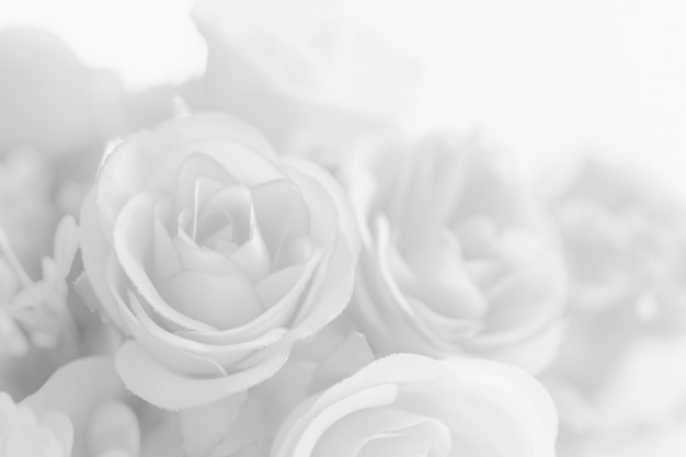 Photo abstract beautiful white tone rose flower