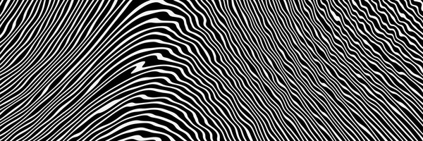 abstract black and white stripped background.