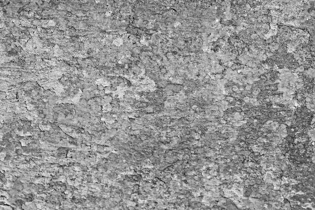 abstract black background blank concrete wall grunge stucco cracked texture