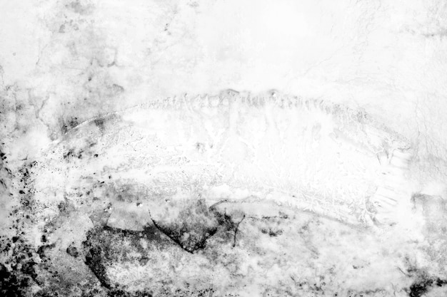 Абстрактное черно-белое backgroud. Грандж текстуры фона.