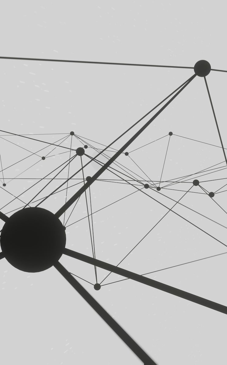 Photo 기술 과학 배경에 대한 추상 검정 흰색 신경총 배경 연결 선 및 점 화합물과 복잡한 빅 데이터 선 신경총 빅 데이터 시각화 네트워크 또는 connection3d 렌더링