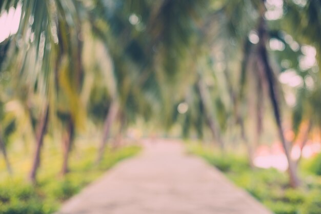 Photo abstract blur coconut palm tree in garden with vintage tone