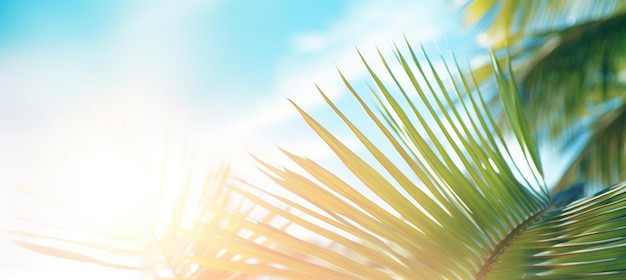 Photo abstract blur defocused background toned gently blue nature of tropical summer rays of sun light