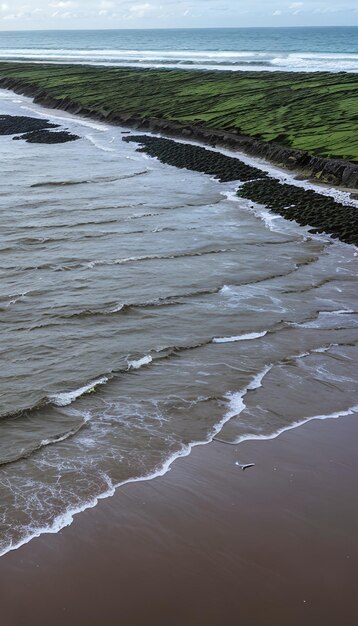 추상적 인 흐릿 한 배경 황금색 모래 와 함께 열대적 인 여름 해변 터키색 바다 와 파란색