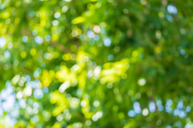 Abstract blur green leaf bokeh nature background