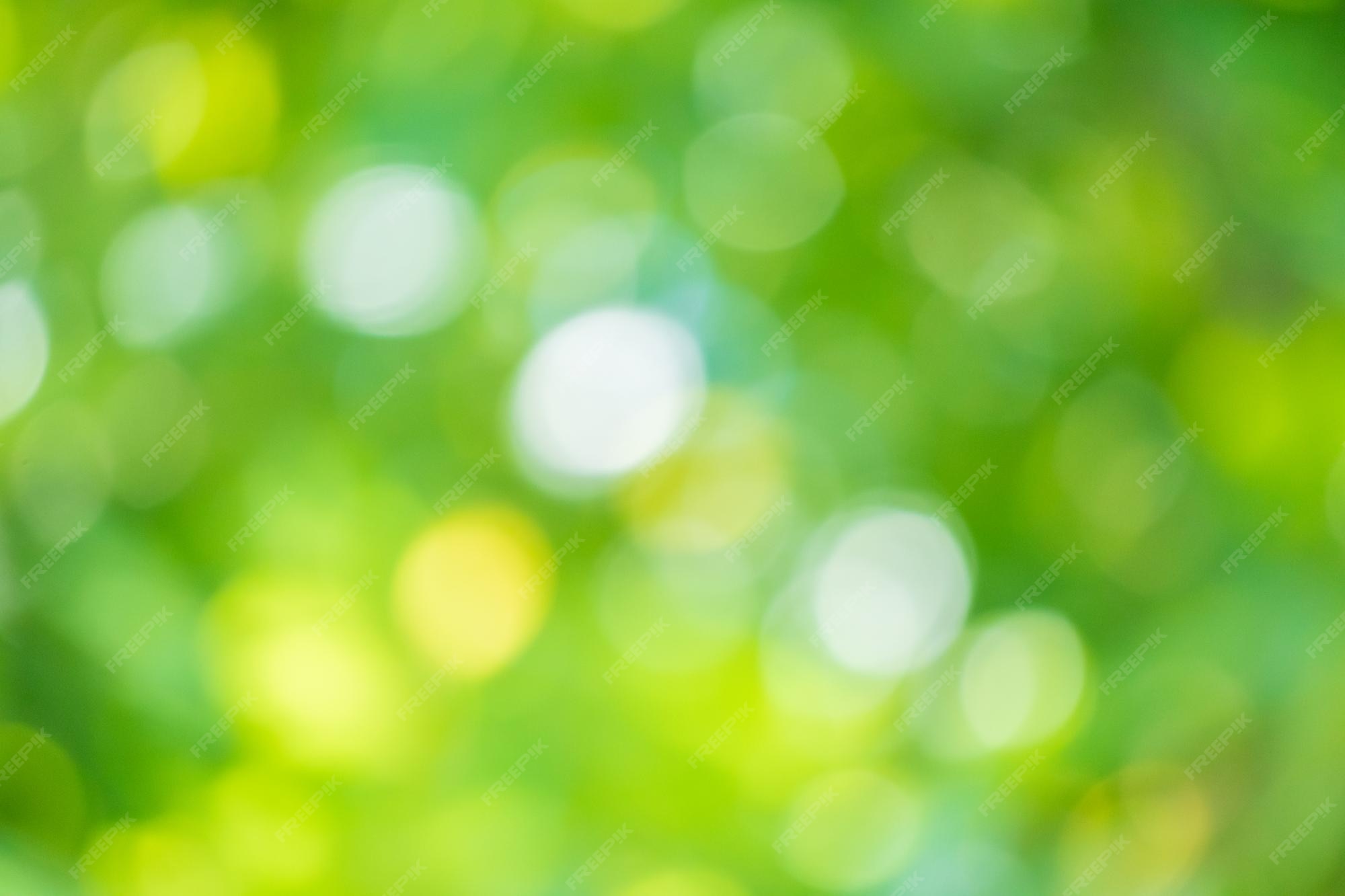 Premium Photo | Abstract blur green leaf bokeh nature background