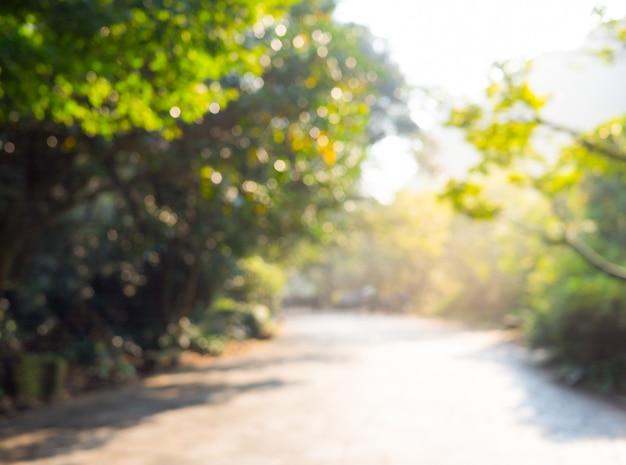 Photo abstract blur image of trees garden and local road with bokeh for background