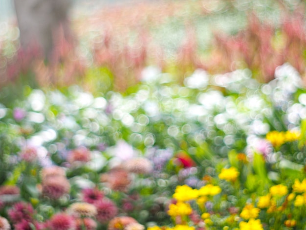 Abstract blurred background of colorful flower field 