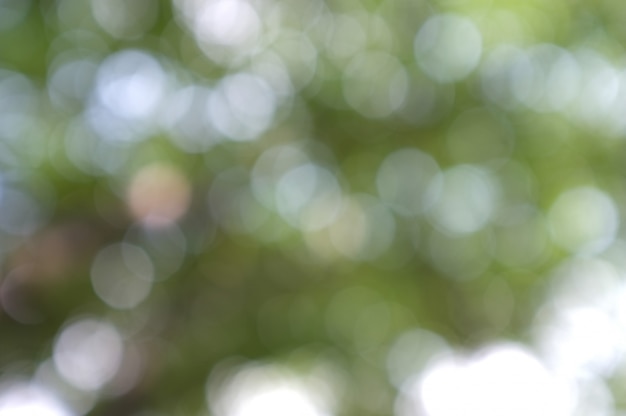 Abstract blurred bokeh lights