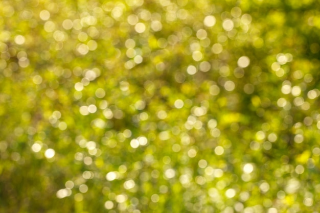 Abstract bokeh background natural green color.