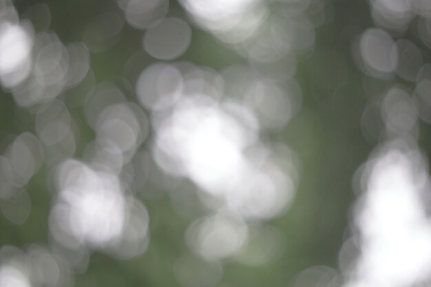 Foto bokeh astratto.