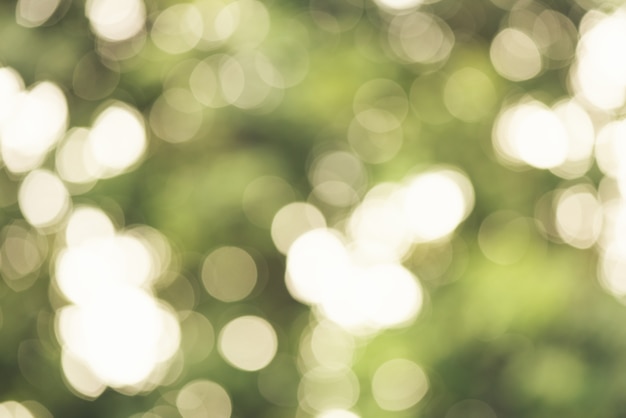 Abstract bokeh blur green color for background