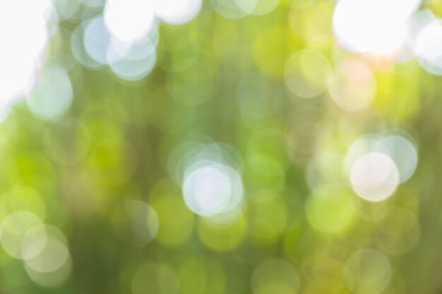 Abstract bokeh and blurred colorful nature background