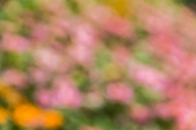 Abstract bokeh and blurred colorful nature background 