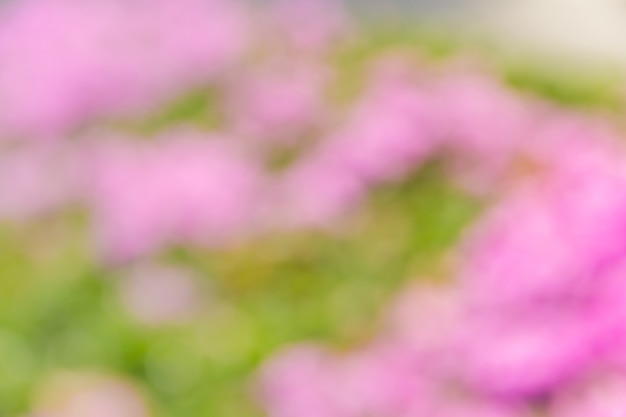 Abstract bokeh and blurred colorful nature background 