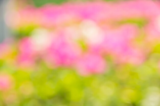 Abstract bokeh and blurred colorful nature background 