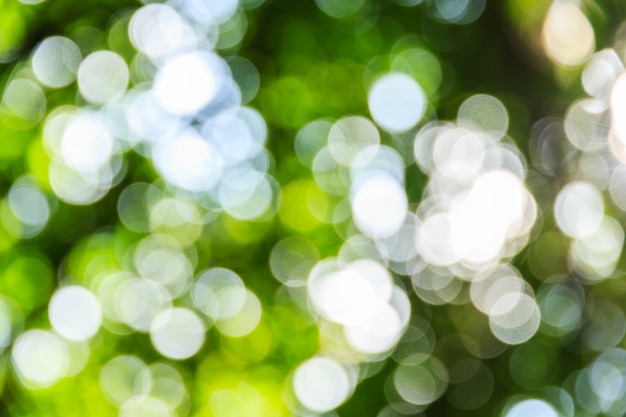 Abstract bokeh and blurred green nature background