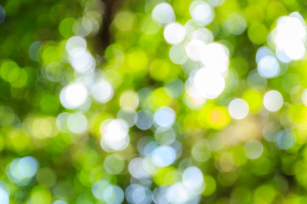 Photo abstract bokeh and blurred green nature background