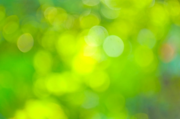 Abstract bokeh and blurred green nature background