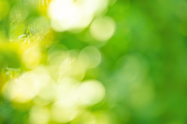 Abstract bokeh blurred yellow sun and blue sky Summer abstract bokeh blurred yellow sun and blue sky