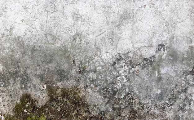 Abstract Broken Wall Pictures Old Grunge Wall Texture Background Wall Moss White Concrete Texture