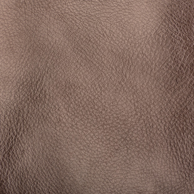 Abstract brown background. Skin texture. Leather surface.