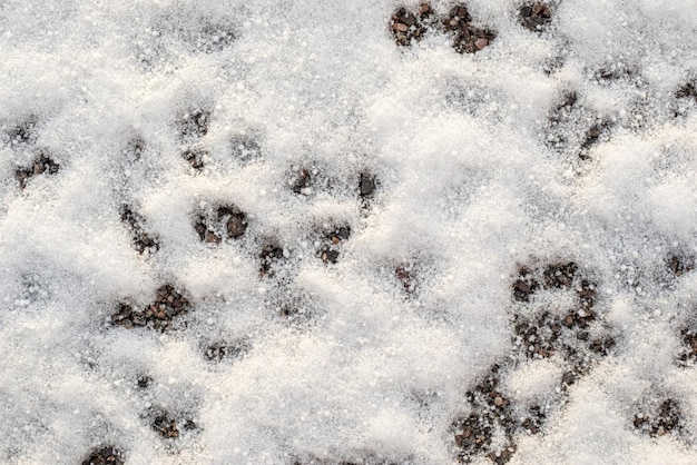 Фото Абстрактная ухабистая текстура зимнего сугроба для естественного фона и обоев