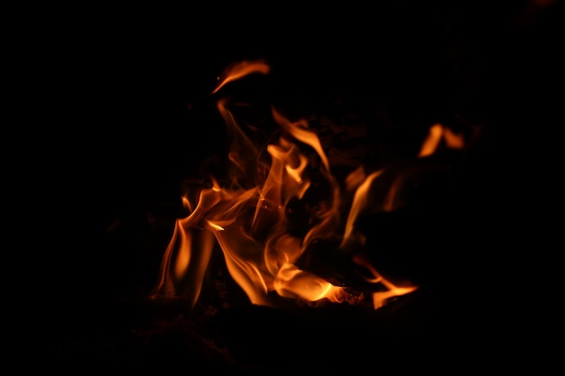 Abstract Campfire Background