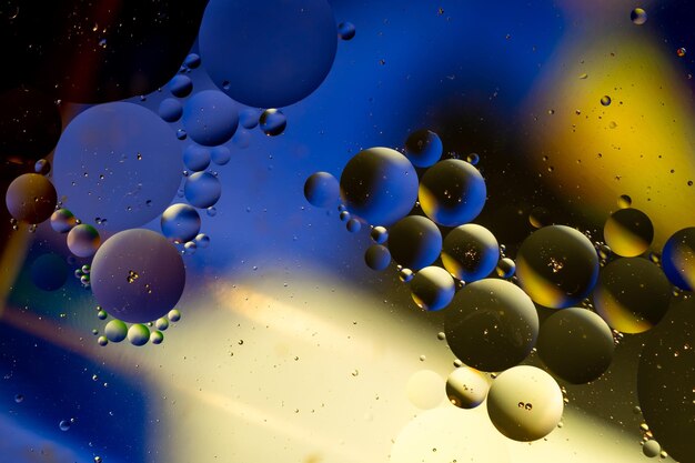 Abstract circles from oil in water.