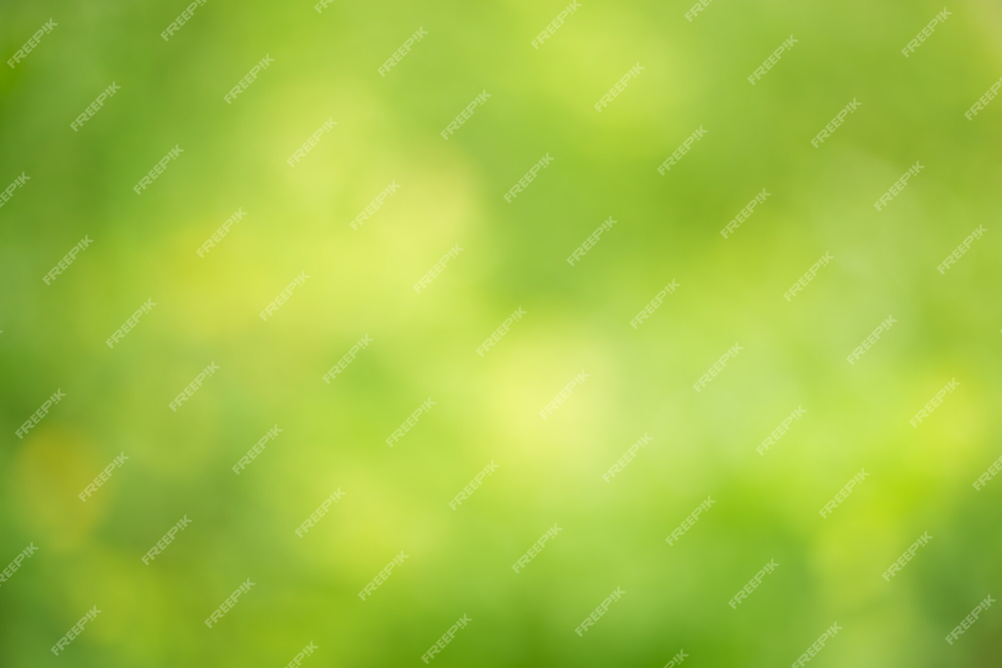 Premium Photo | Abstract circular green bokeh background,natural blur green  for backgrounds design